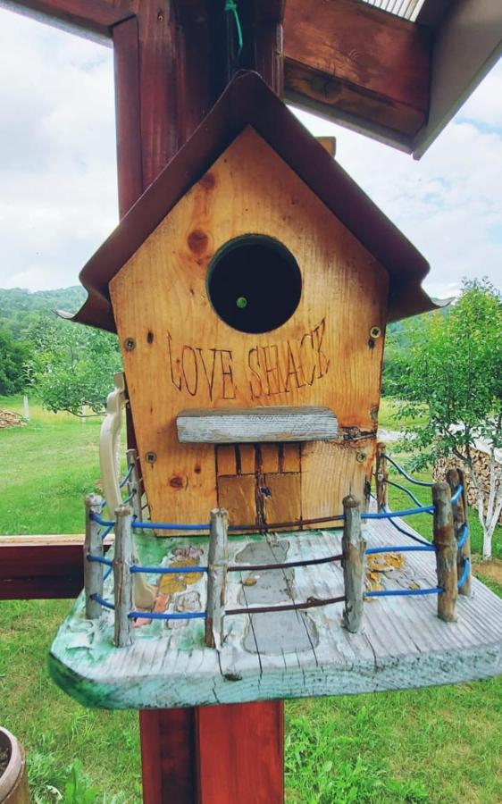 Love Shack โคลาชิน ภายนอก รูปภาพ